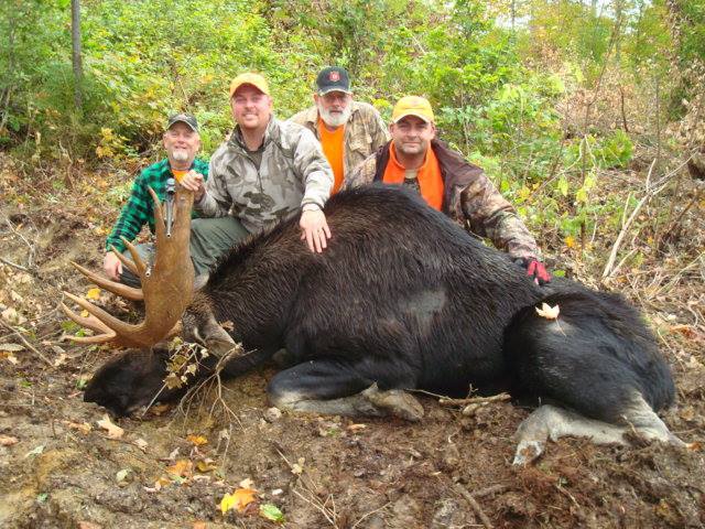 1 On 1 Wilderness Maine Guides: Moose Hunts