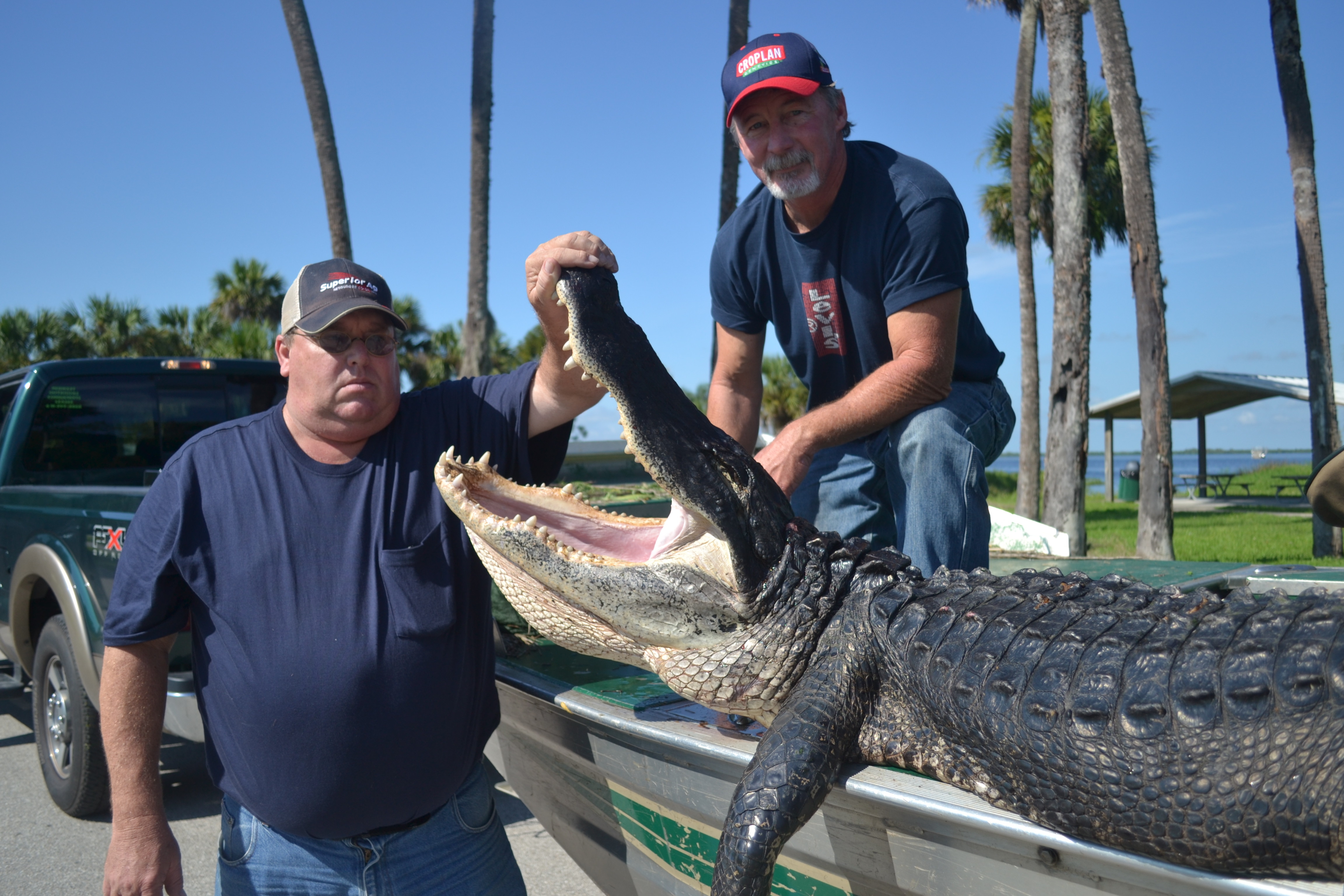Airboat & Gator Charters: Trophy Gator Hunt - Private