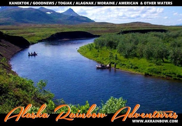 Alaska Rainbow Adventures: Alagnak River ~ Sockeyefest.  An annual tradition, so good it earned its own name.