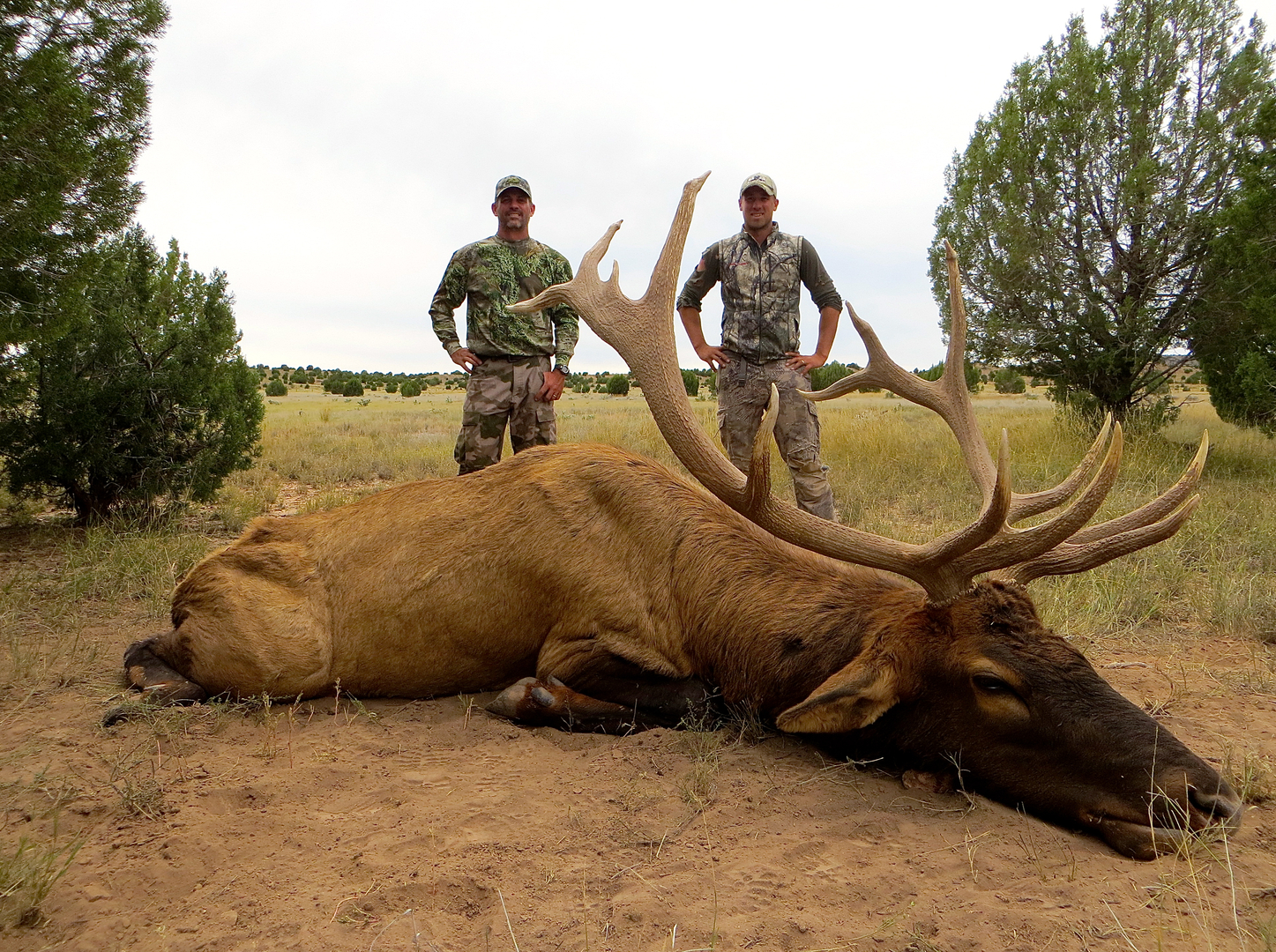 Arizona Trophy Outfitters: Bull Elk - Rifle