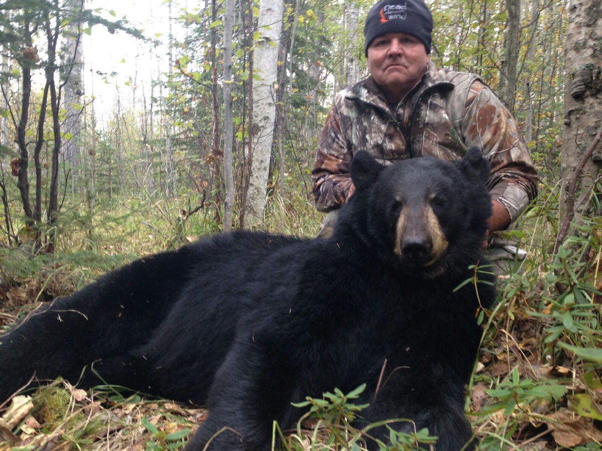 Big Game Hunting Adventures: Alberta Black Bear Hunt