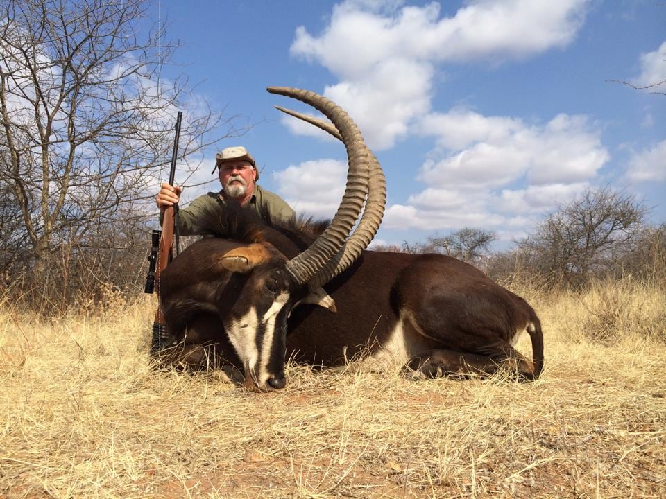  Daggaboy Safaris - South Africa : 5 Day Sable hunt