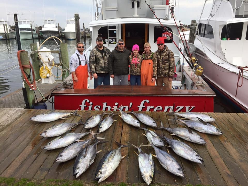 Fishin' Frenzy: Off Shore All Day Charter