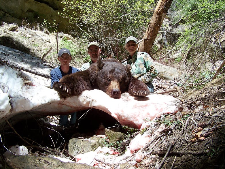 GT Outfitters: Bear Hunts
