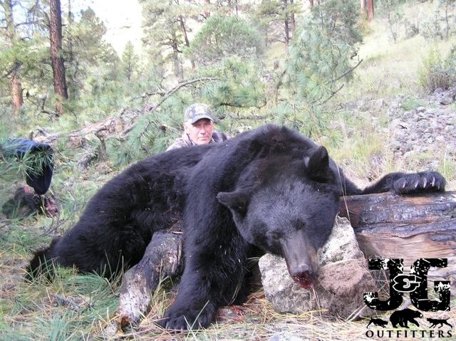 J & G Guides & Outfitters: New Mexico Bear Hunts