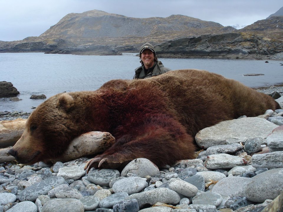 Kitchel's Alaska Guide Service: Brown Bear (Alaska Penn.) 