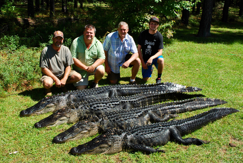 Red Bluff Lodge: Alligator Hunt