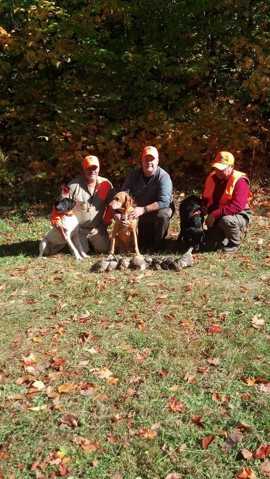 Reddog Guide Service: Grouse hunt