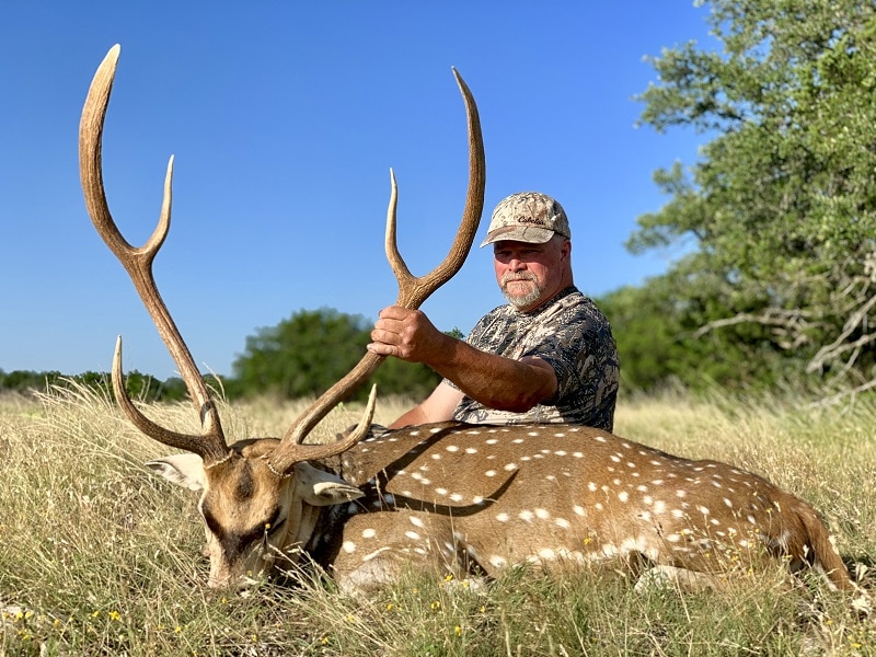 Texas Trophy Whitetails, LLC: Guided Axis Deer Hunts