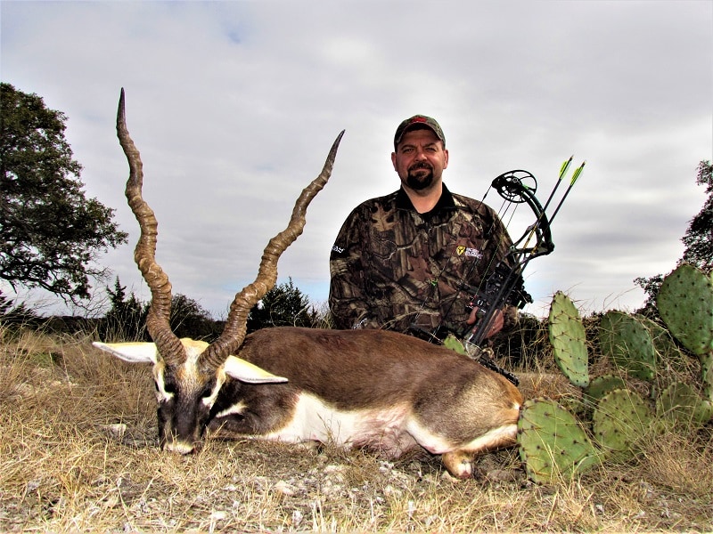 Texas Trophy Whitetails, LLC: Guided Blackbuck Antelope Hunts