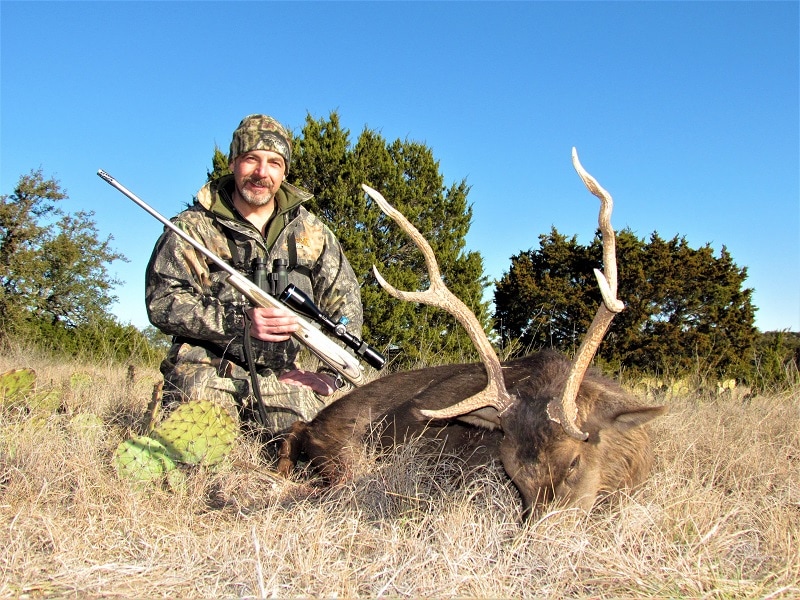 Texas Trophy Whitetails, LLC: Guided Sika Deer Hunts
