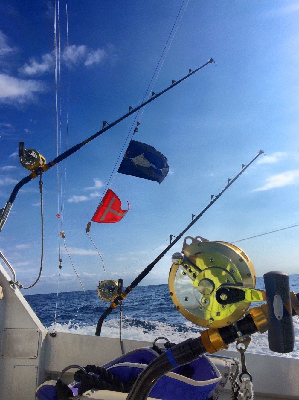 Waiopai Sport Fishing Charters: Overnight Fishing Trip